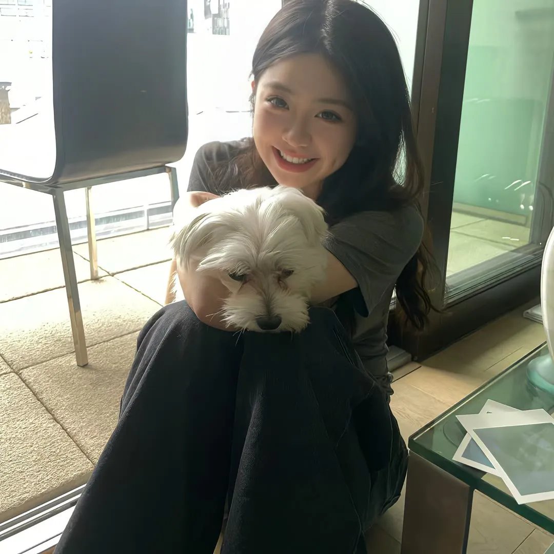 彩叶草之梦